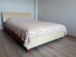 Апартаменты on Sovetskaya 21 Balashikha