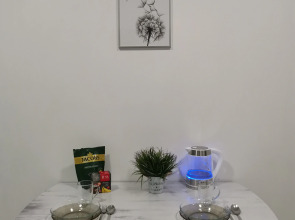 Апартаменты в центре Липецка в доме бизнес класса