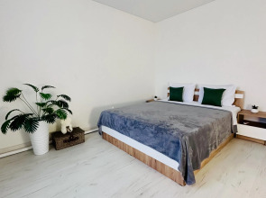 Daily Apart Flat