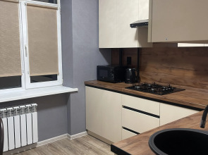 Квартира Двухкомнатная. Ворошилова 8а.