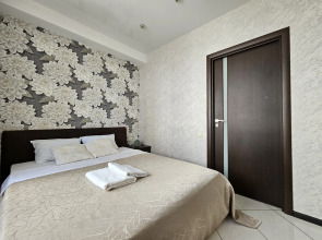 Апартаменты Ярославская 72 (3)