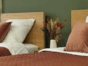 Апартаменты с видом на парк с двумя раздельными кроватями, кухней, ПММ в 10 минутах от центра Нижнего Новгорода