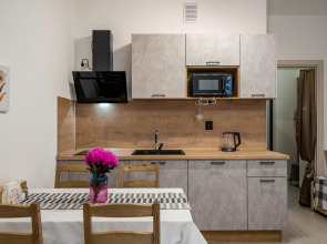 Квартира Светлановский Студия