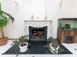 Гостевой дом с 5 спальнями