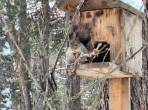 Отель Сегежа