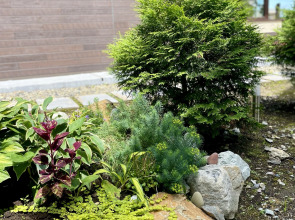 Гостевой дом Главный