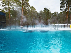 Отель Лесники