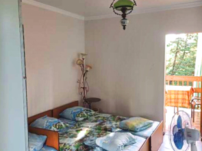 Бунгало Лесная тишина