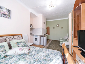 Zeleny Shelk Ryadom S Parkom V Tsentre Goroda Apartments