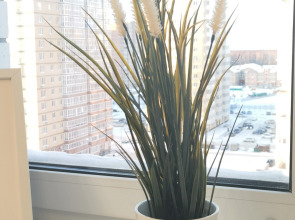 Квартира Наш Дом