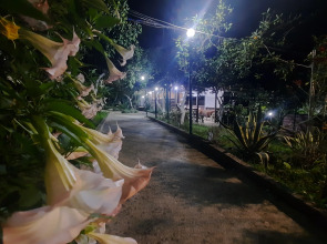 Гостевой дом Мандариновый Рай