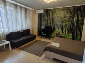 Апартаменты Kvartal на Неделина полустудия