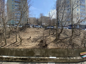 Квартира в центре на Нерчинской 3