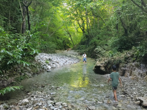 Гостевой дом Сола