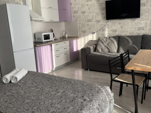 Апартаменты Hugge Place Студия с видом на ОБЬ