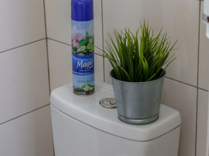 Апартаменты Alpine Castle 1