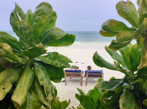 Family Beach Bungalows Villa
