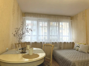 Квартира на улице Невзоровых 64к1