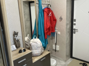 Квартира Уютная квартира на побережье Зеленоградска