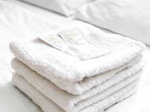 Двухместная мини-студия Авион