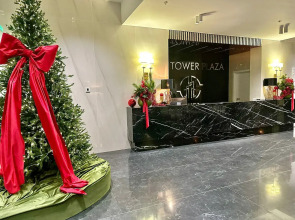 ДзенХоум Воплощение 8271