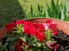 Гостевой дом У Юли