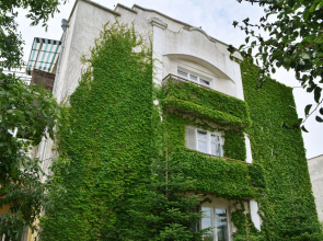 Letniy Guest House