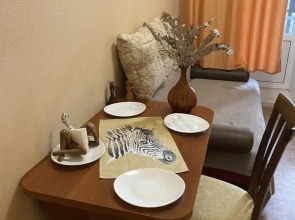 Апартаменты Зинина Возле УРАМ и Набережной