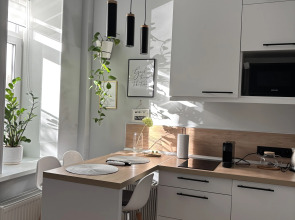 Квартира с парковкой в центре Санкт-Петербурга 1