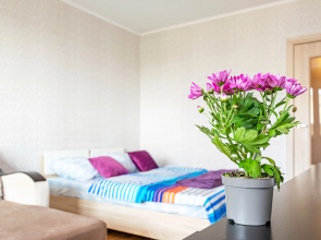 Apartamenty Sladkih Snov na Kombajnerov 39B