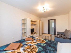 Апартаменты на Револиционной