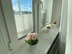 Апартаменты Welcome Karelia  Мичуринская 48