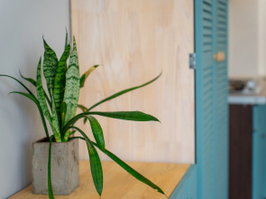 Апартаменты в Мысхако от LetoApart