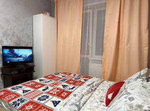Vidovaya Studiya Aeroport Tolmachevo Apartments