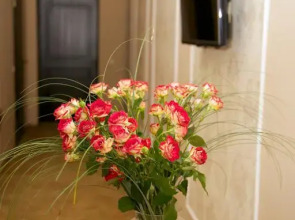 Гостиница Диоскурия