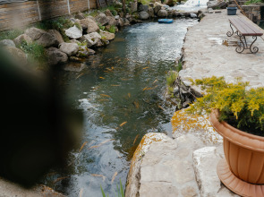 База отдыха Рыбачий стан