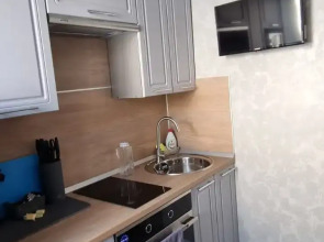 Квартира 2х комнатные апартаменты у лыжного стадиона