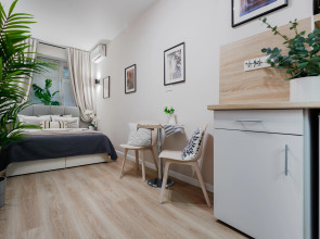 Апартаменты Монохромная Красноармейская