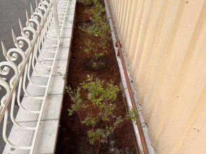 Апартаменты Family House Номер Felicita