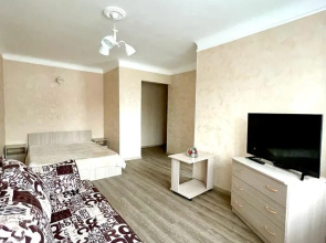 Apartamenty na Lenina 91
