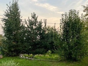 Гостевой дом Дом на озере Ильмень