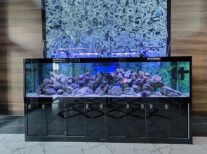 Квартира Nochevali