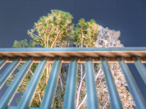 Отель New Palace Shardeni