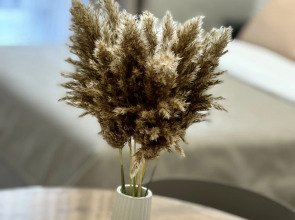 Апартаменты Брикс