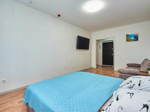 Квартира 1 комнатная