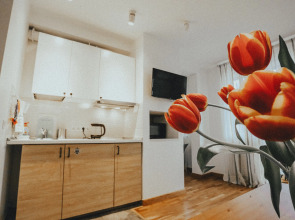 Апартаменты с Видом на Горы 2