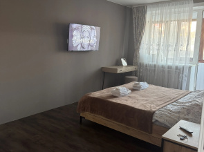 Apartamenty v centre goroda s vidom na sopki