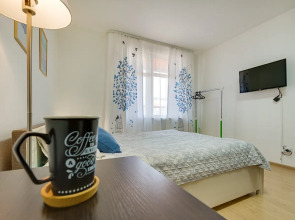 Квартира студия недалеко от центра Санкт-Петербурга 3