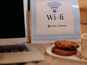 Апартаменты Alpine Urban Garden 3