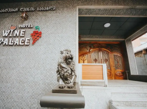 Отель Wine Palace
